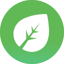 Grass
